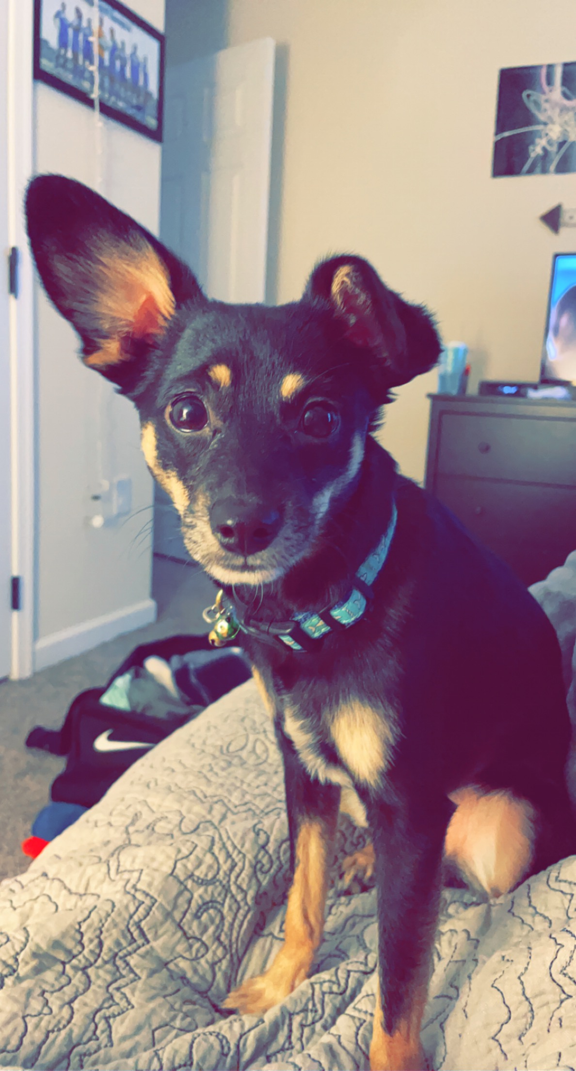 Some of my favorites