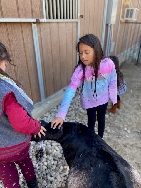 My kids love to volunteer