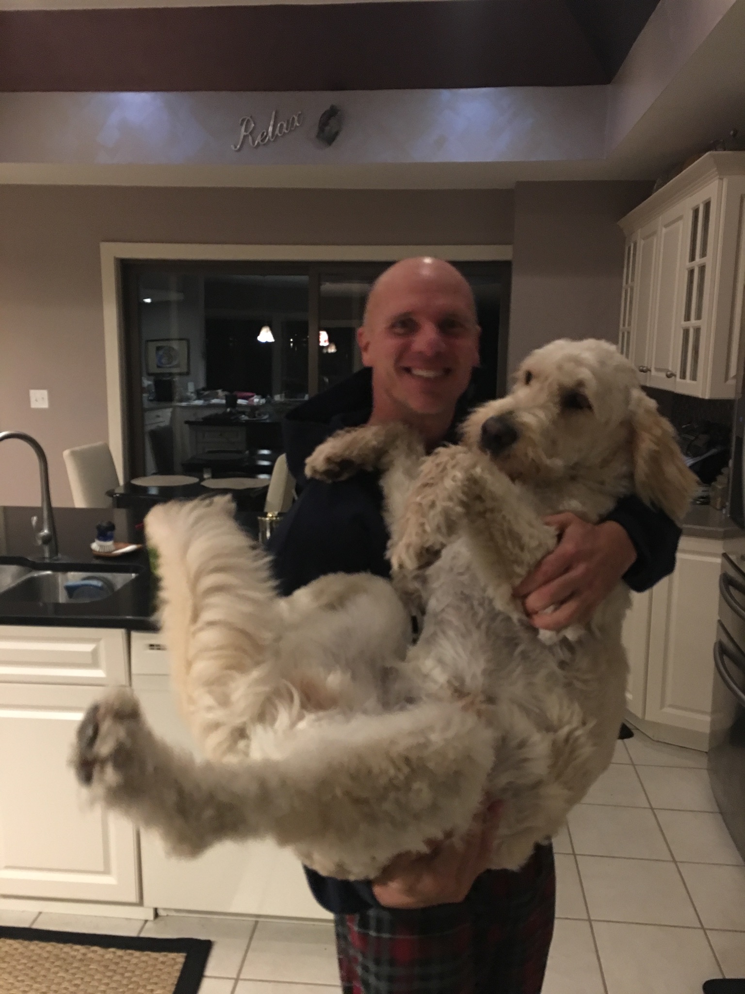 Hold me!  I am still just a lil  pup!