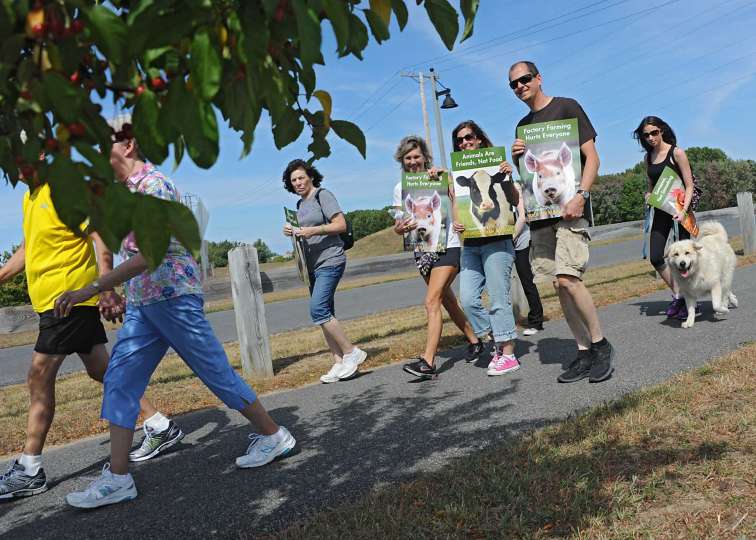 Maybe make a sign? Bring pom poms for the walk? Bubbles?