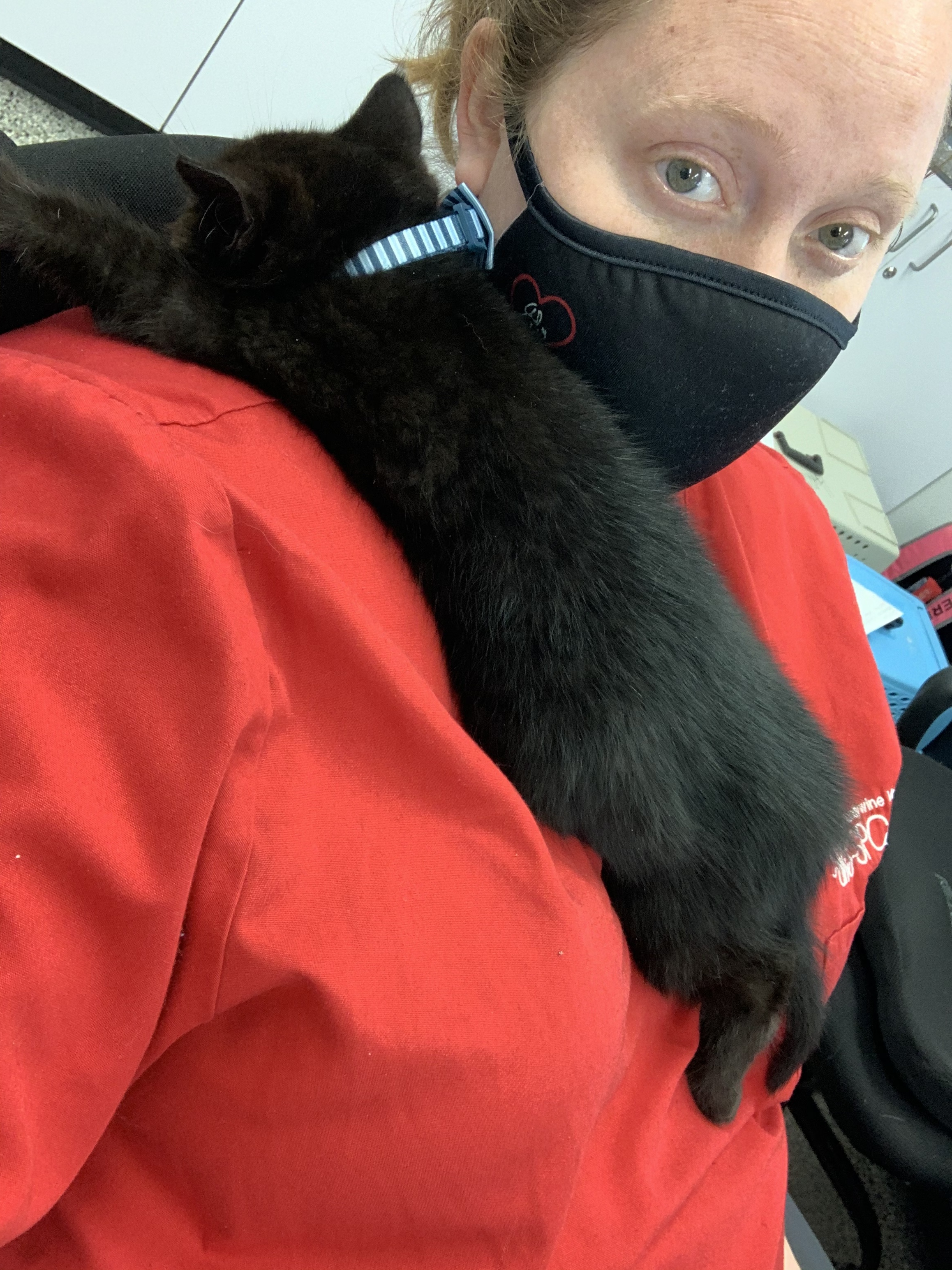 It’s hard work being cute