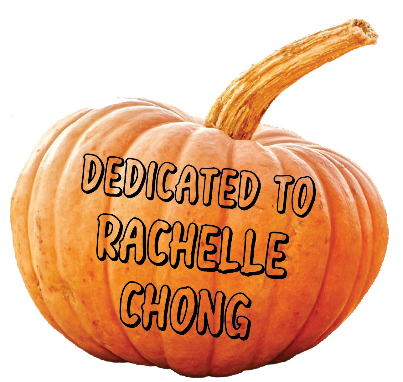 Thank you, Lisa Mondori, for your donation.