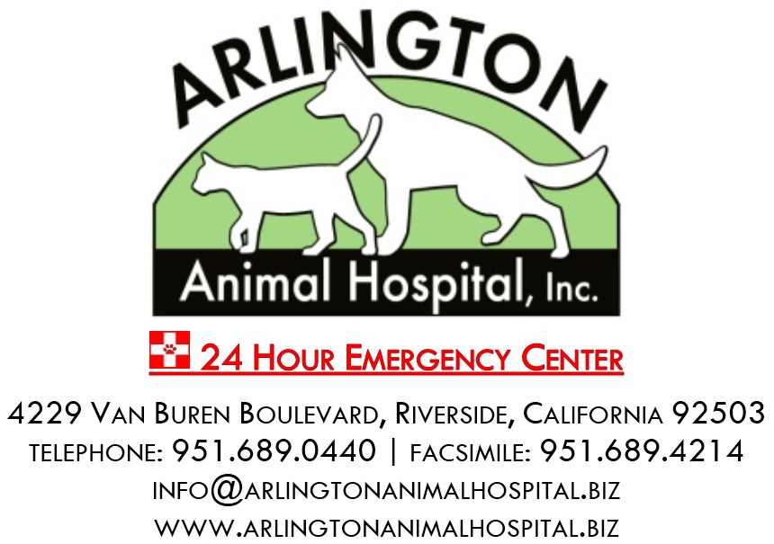 Arlington Animal Hosptial 