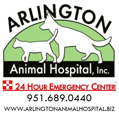 Arlington Animal Hospital
