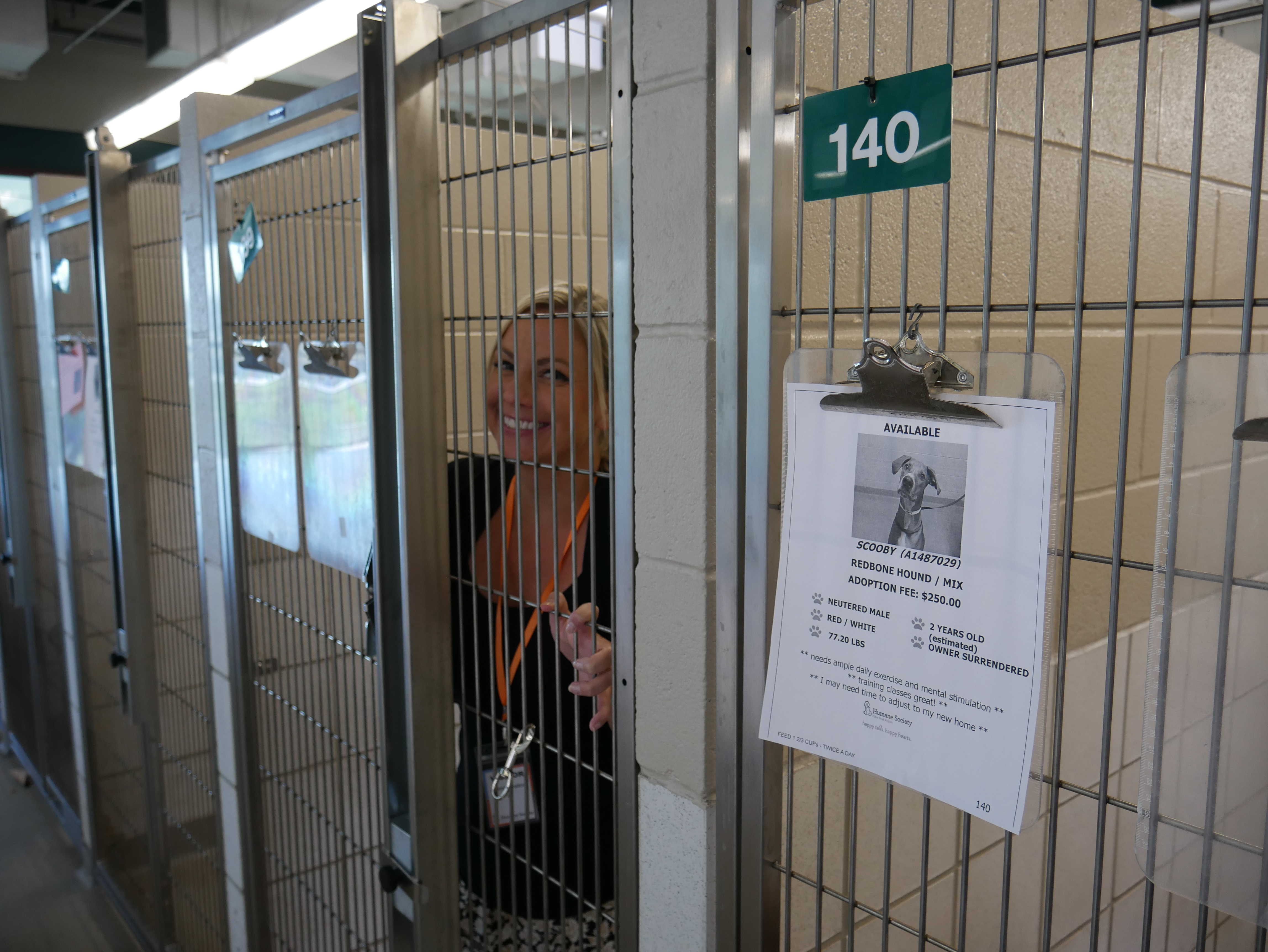 Rescue Abbie Burke from a Kennel