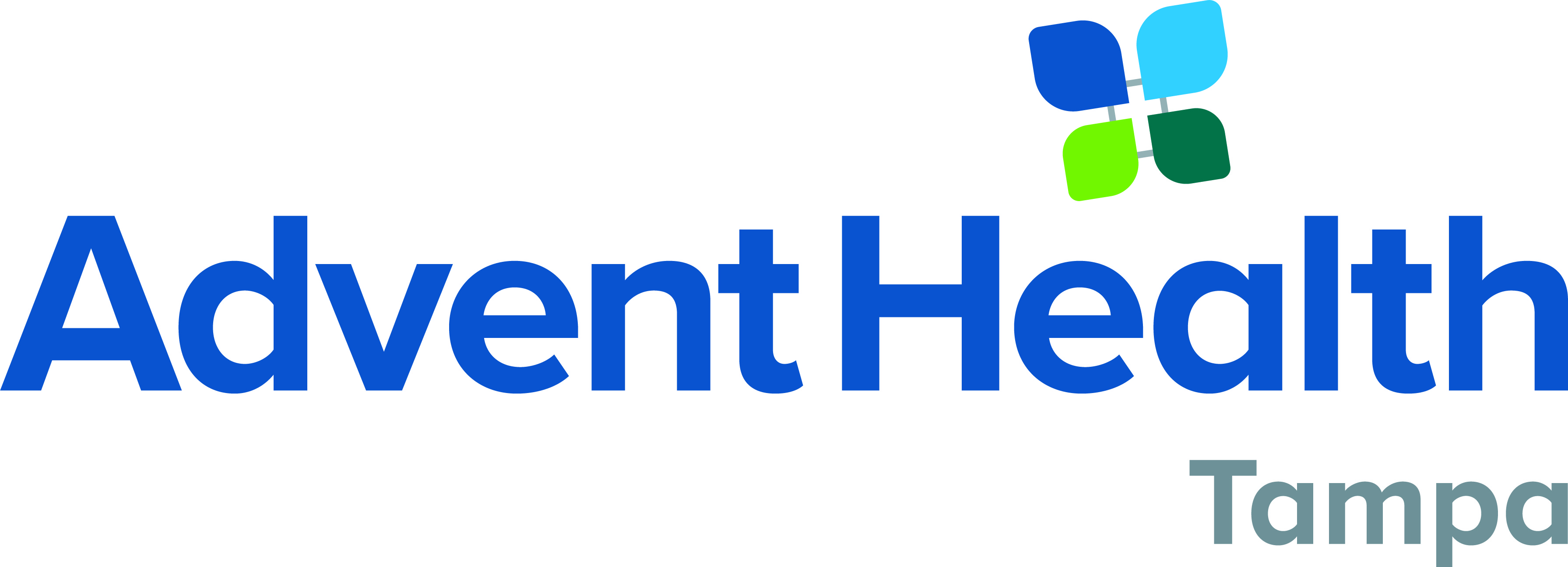 Advent Health Tampa