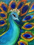 Peacock Eyes by Ailani, age 11
