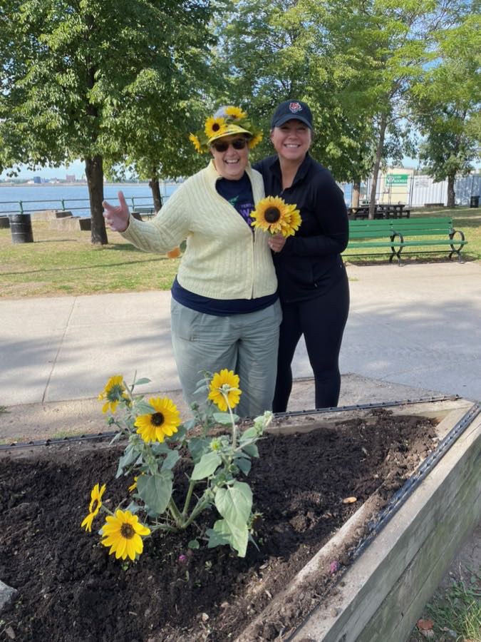 Sunflowers on the island
