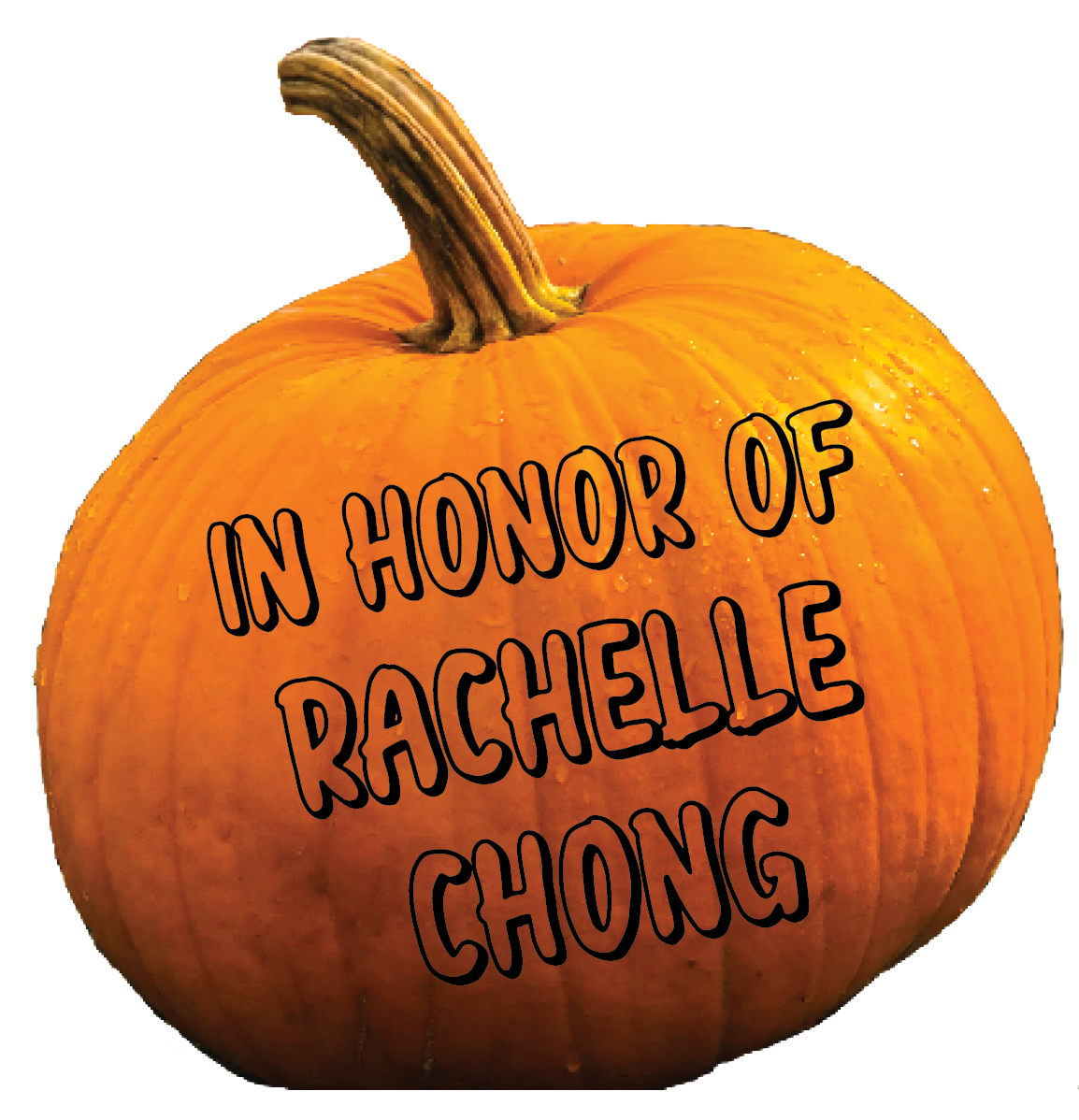 Thank you, Alice Moy-Gonzalez, for your donation.