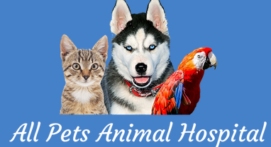 All Pets Animal Hospital, Ames