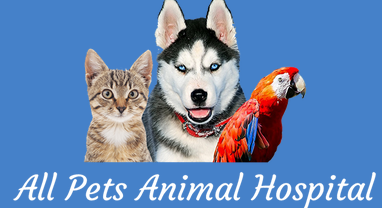 All pets and store paws animal hospital