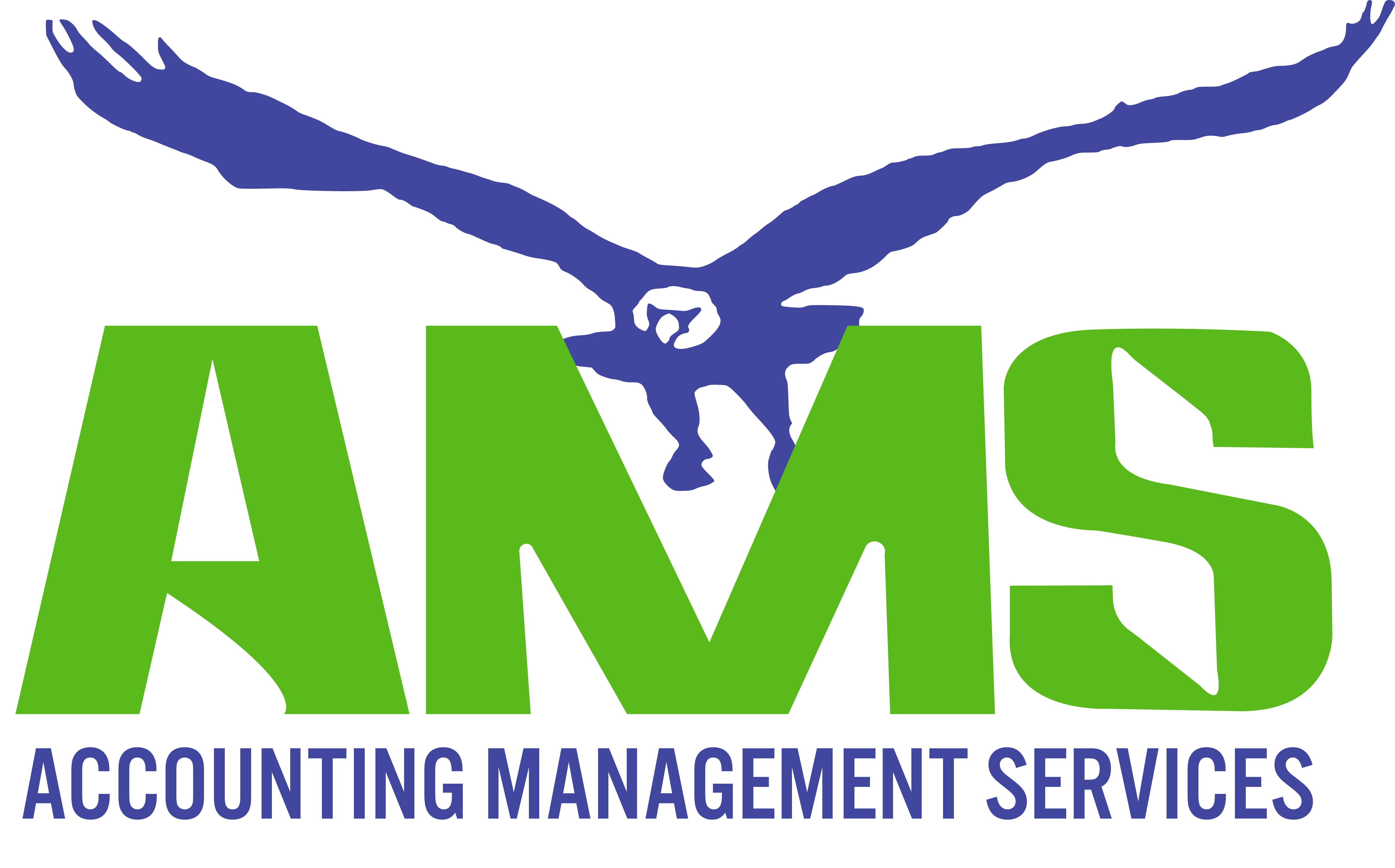 Accounting Management Services