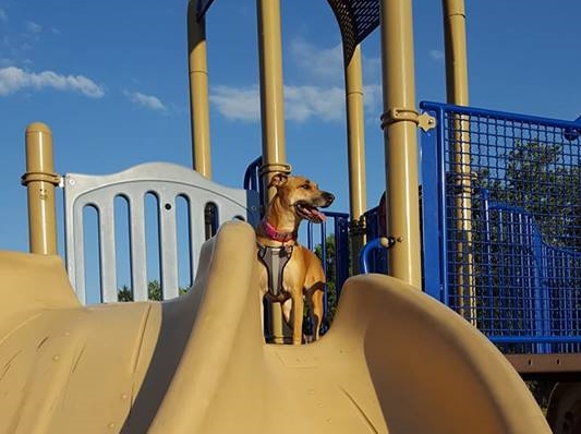 Contemplating the next ride