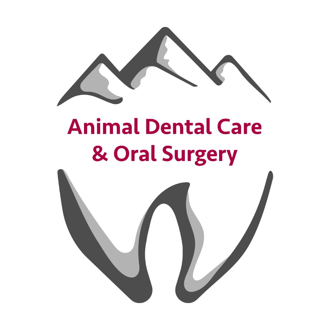 Animal Dental Care & Oral Surgery 