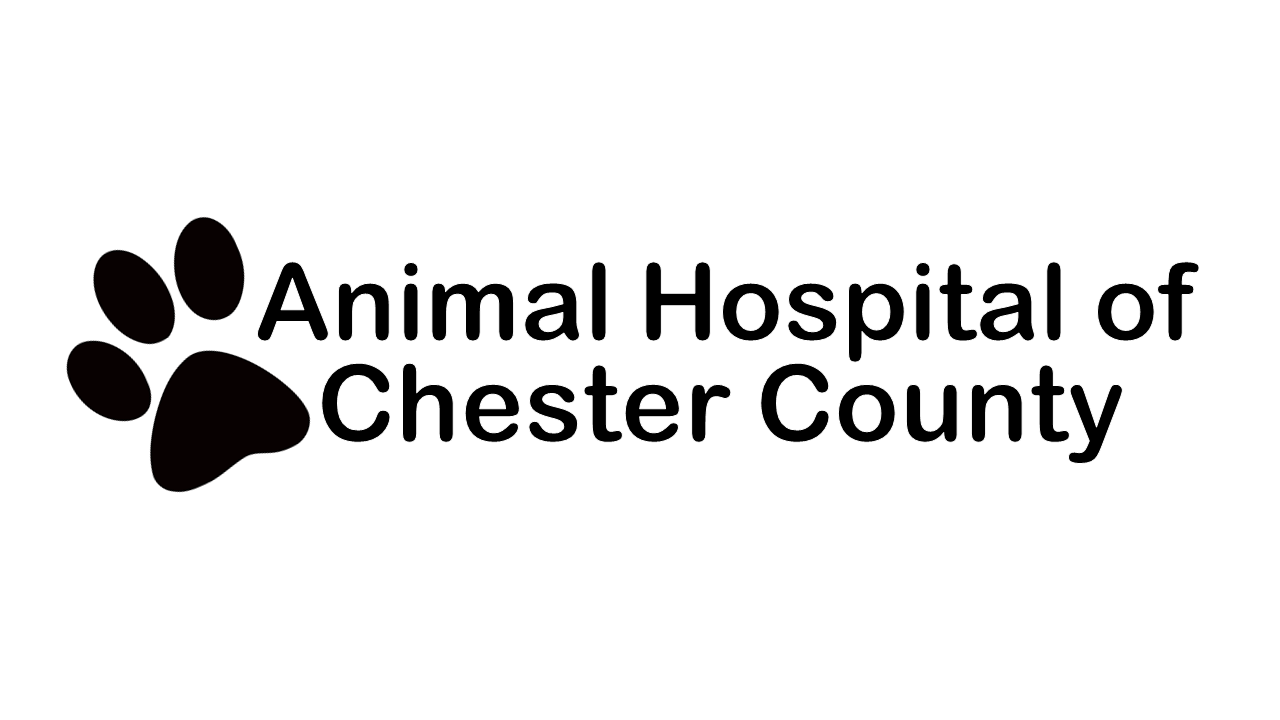 Animal Hospital of Chester County