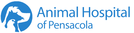 Animal Hospital of Pensacola