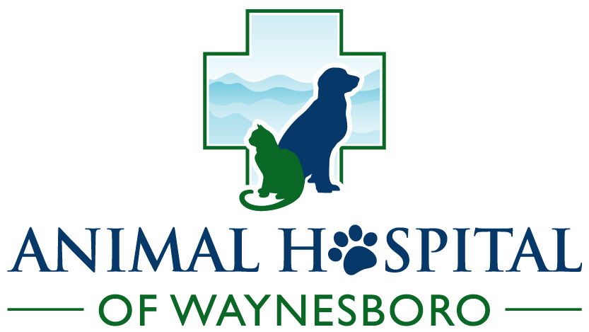 Animal Hospital of Waynesboro