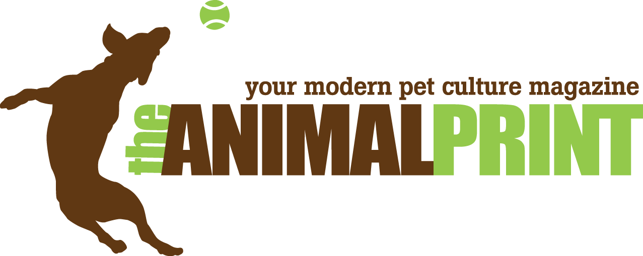 The Animal Print 