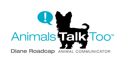 Diane Roadcap Animal Communicator