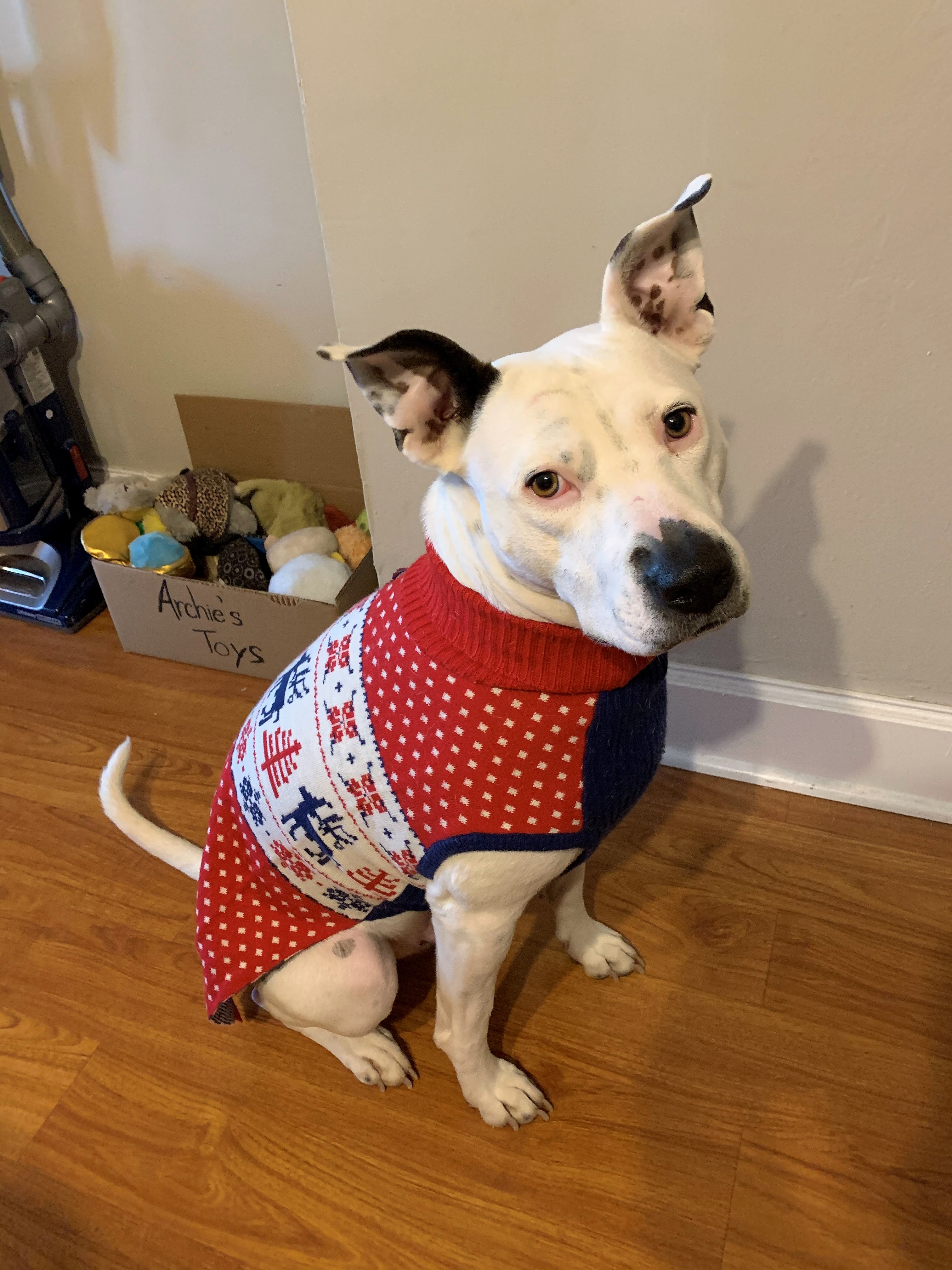 Christmas sweater