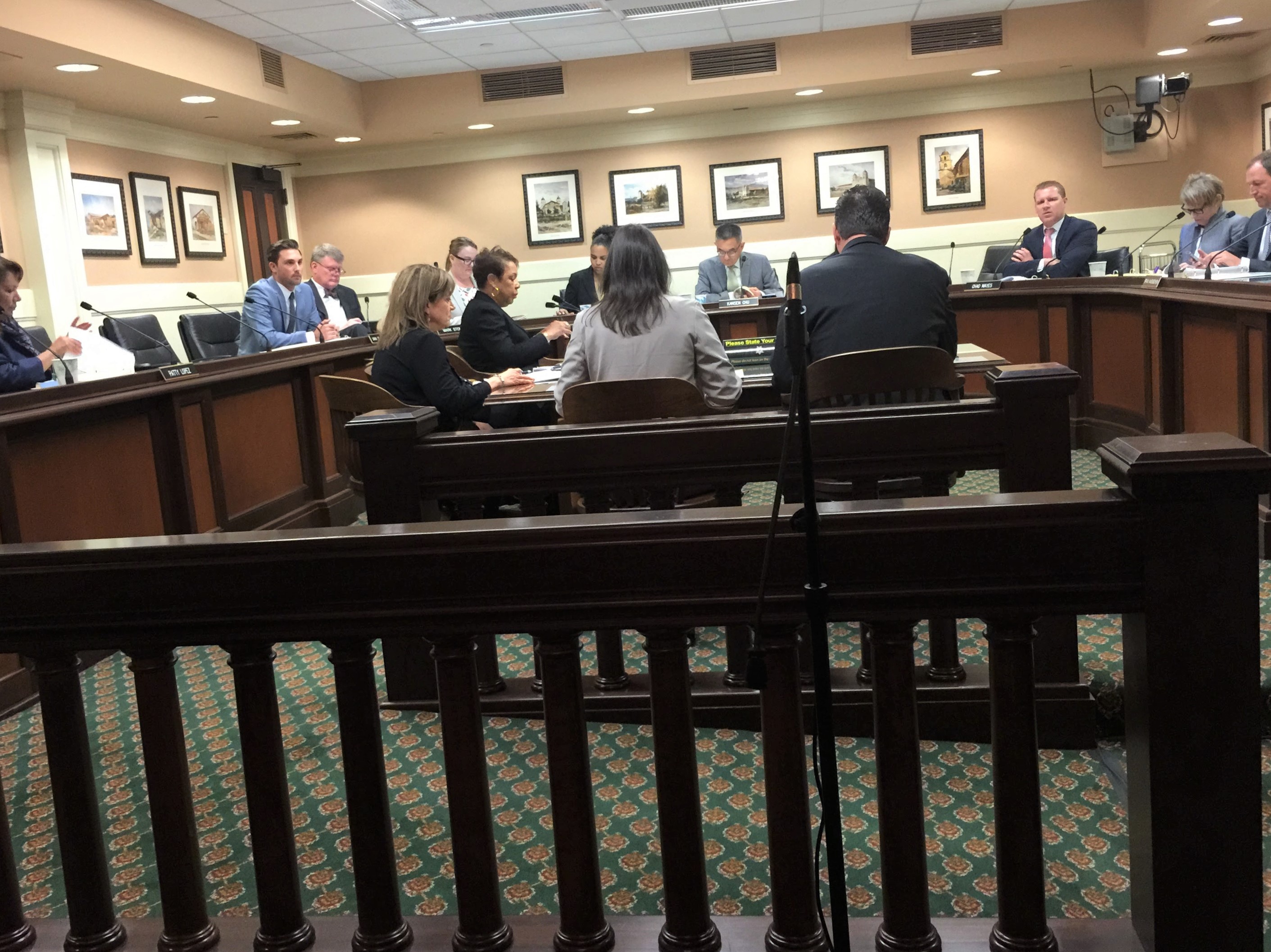 California assembly committee hearing on older adults