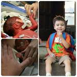 Mylo Martin Koeks