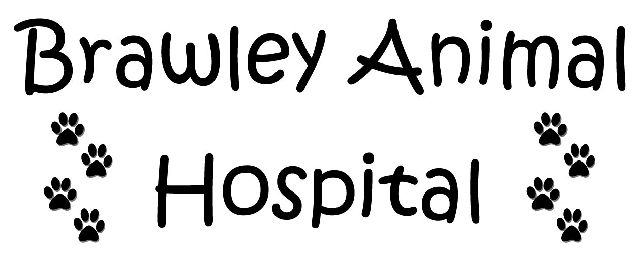 Brawley Animal Hospital