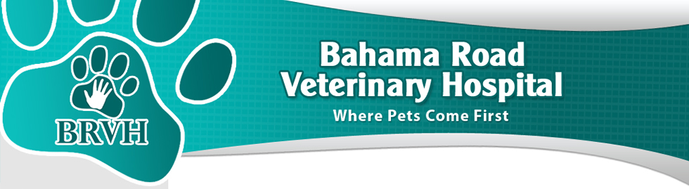 Bahama Road Veterinary Hospital