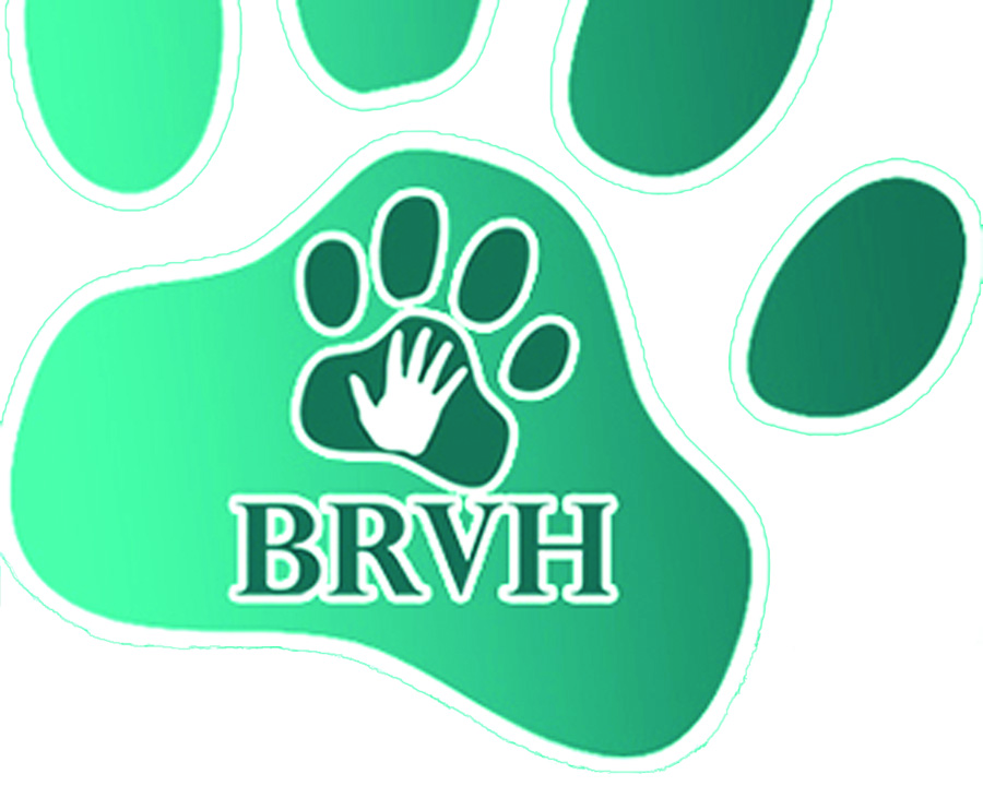 Bahama Road Veterinary Hospital