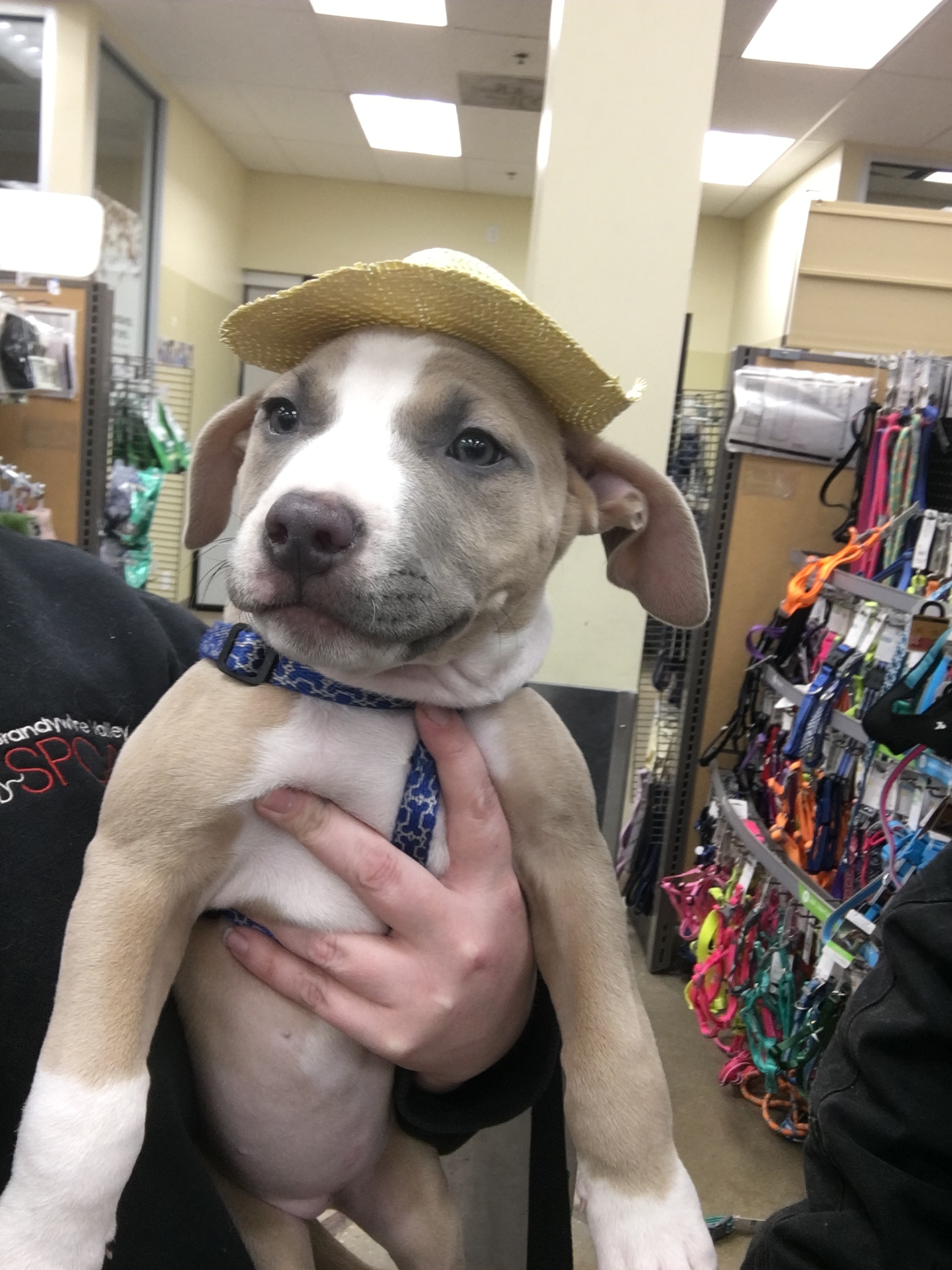 Mom adopted me; to do this