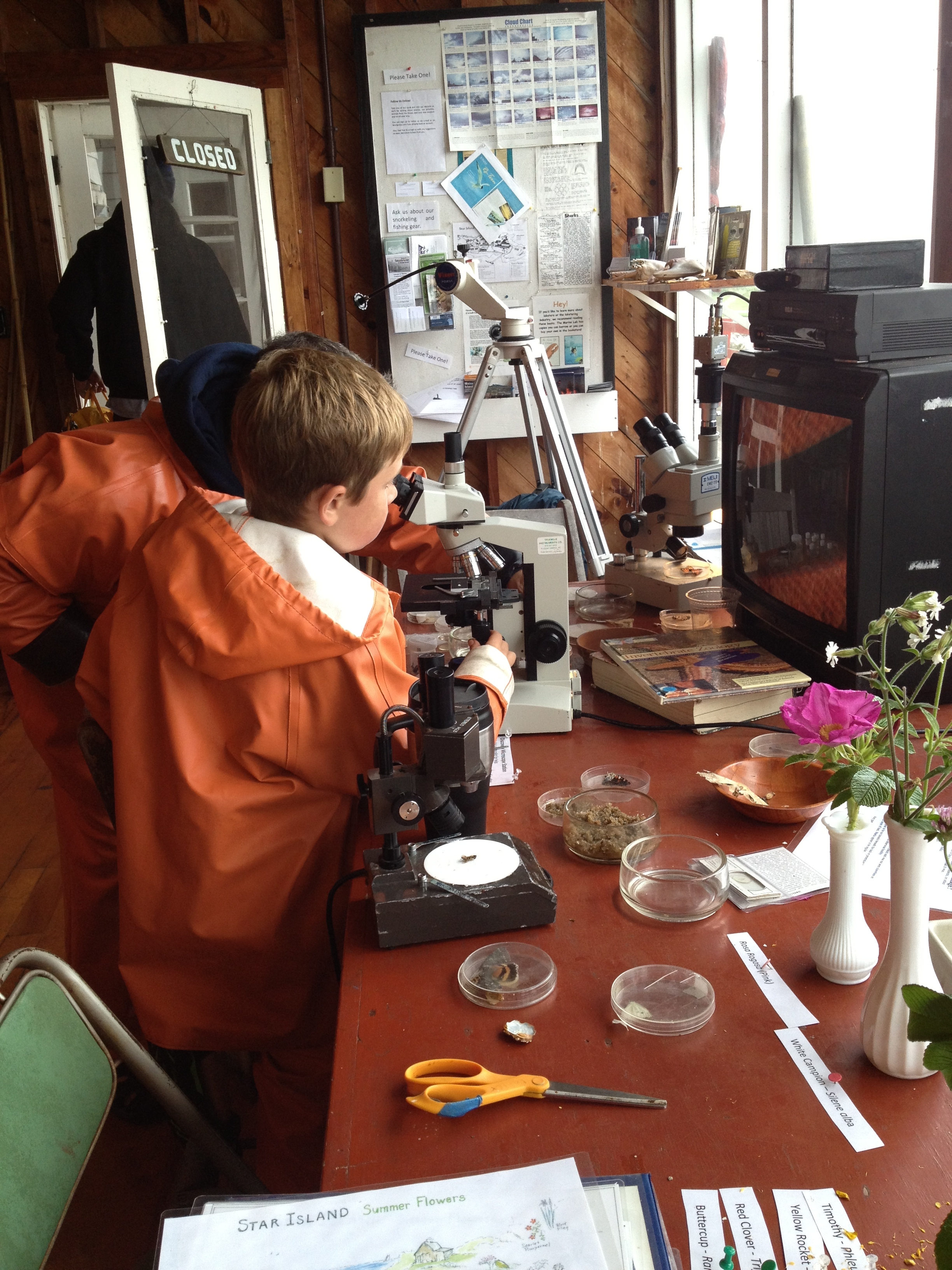 Studying marine biology