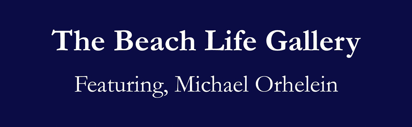 The Beach Life Gallery