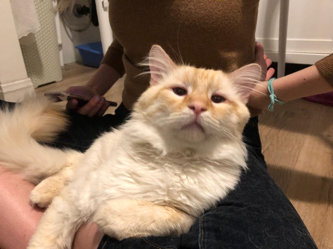 Beau knows he is safe