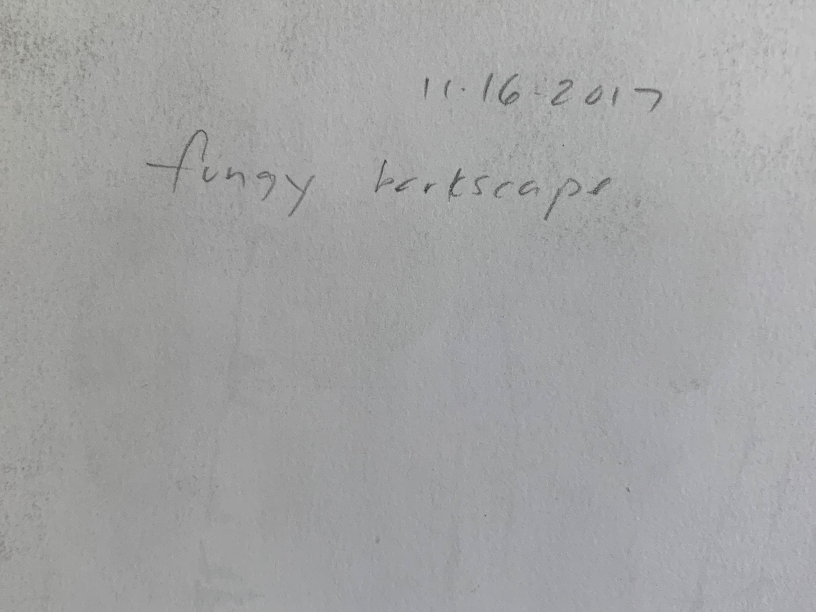 Item 25 Back of Work Detail