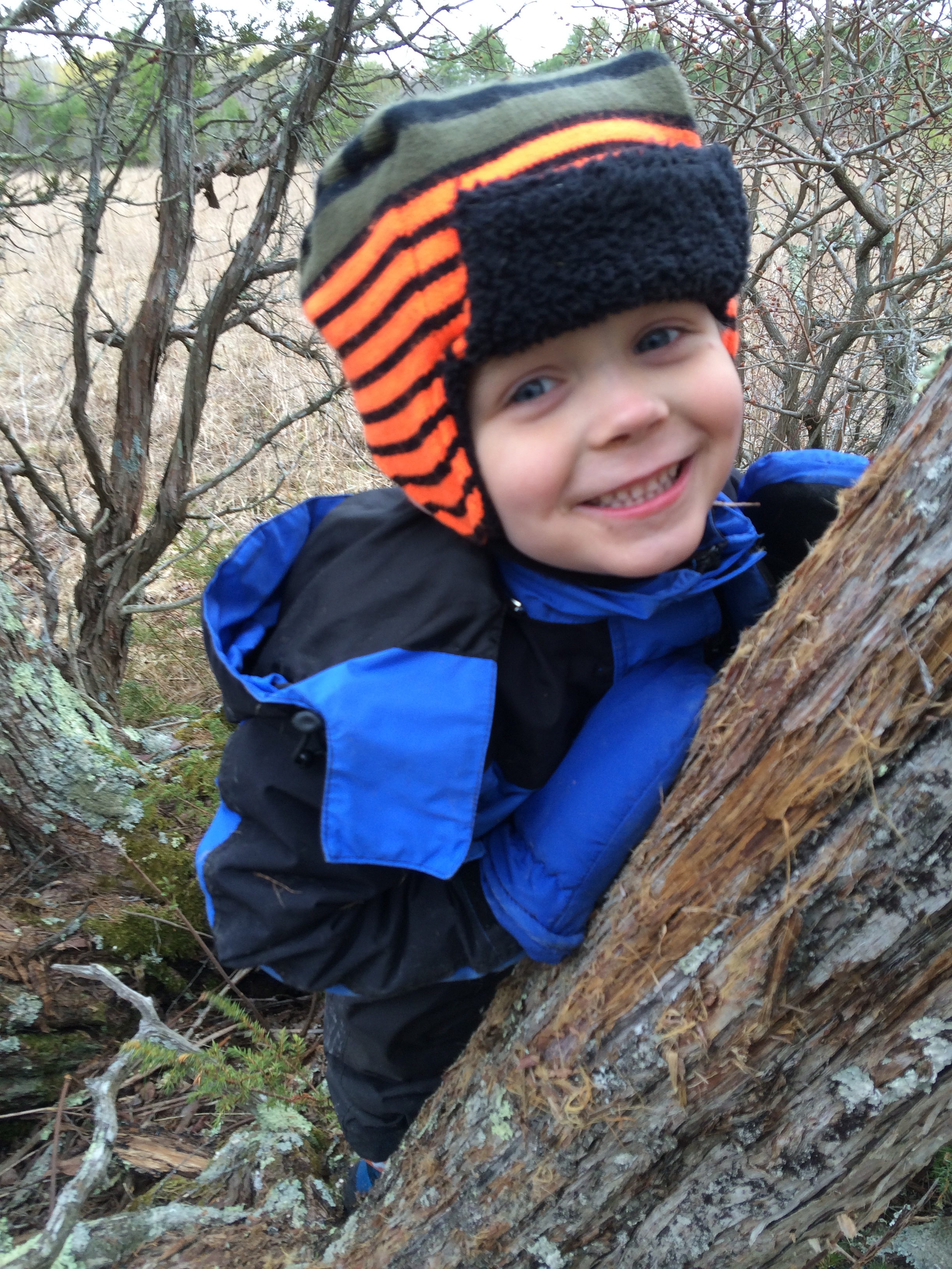 Hugging trees is always OK