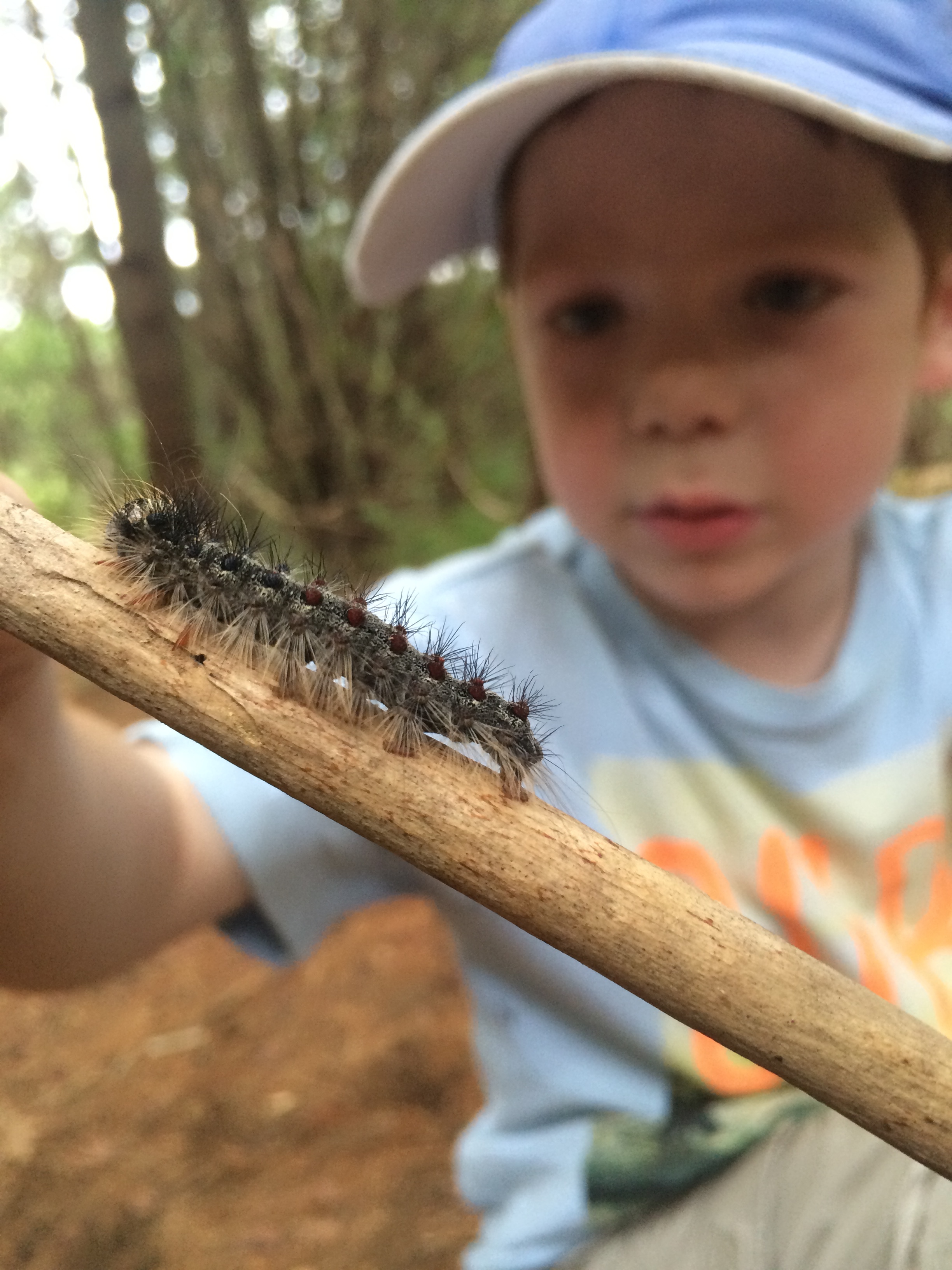 Nature study never stops