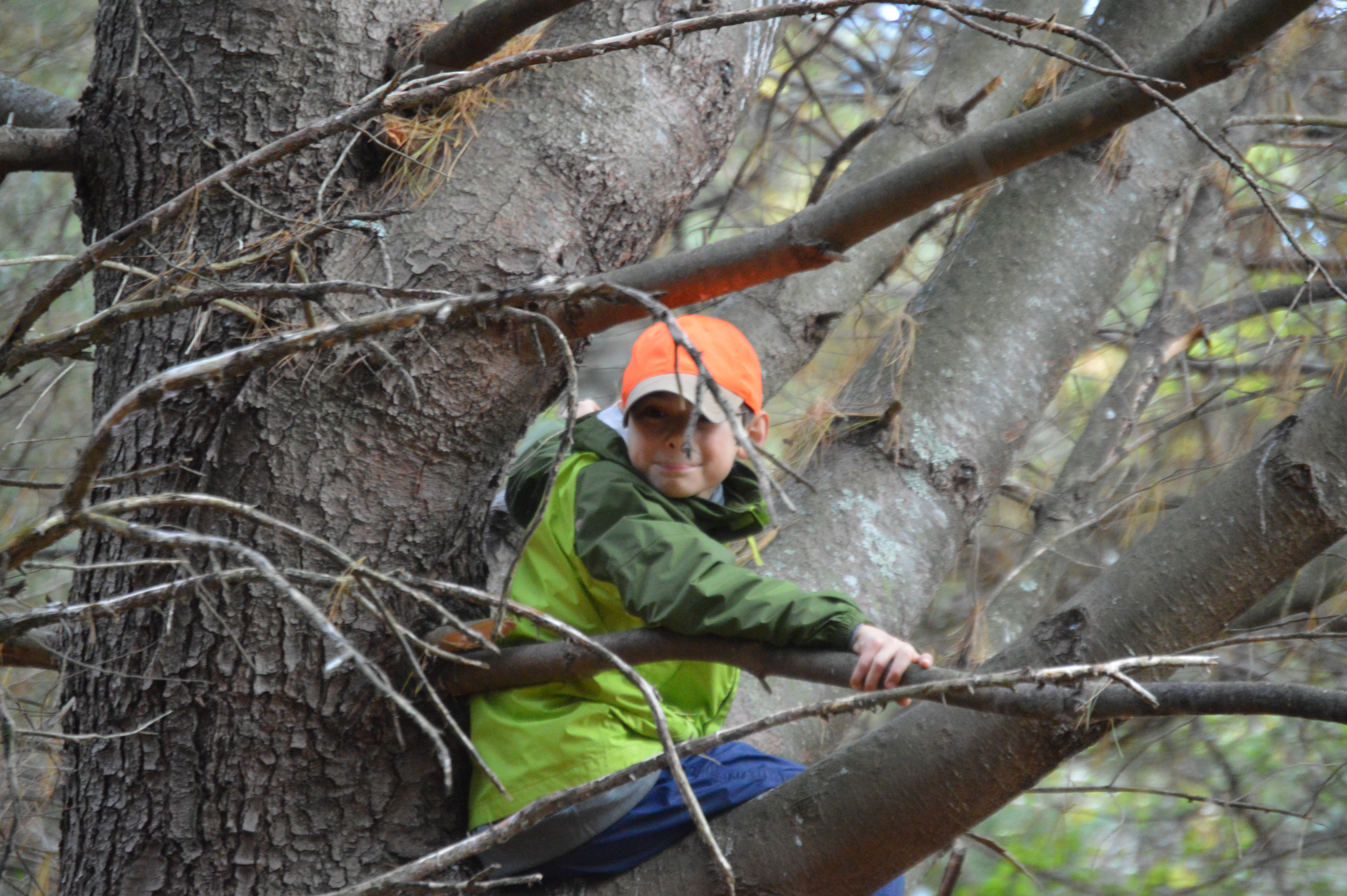 Taking time for a sit spot to observe nature