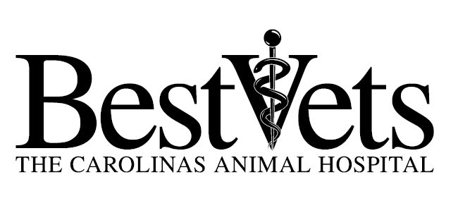 The Carolinas Animal Hospital and Dental Clinic
