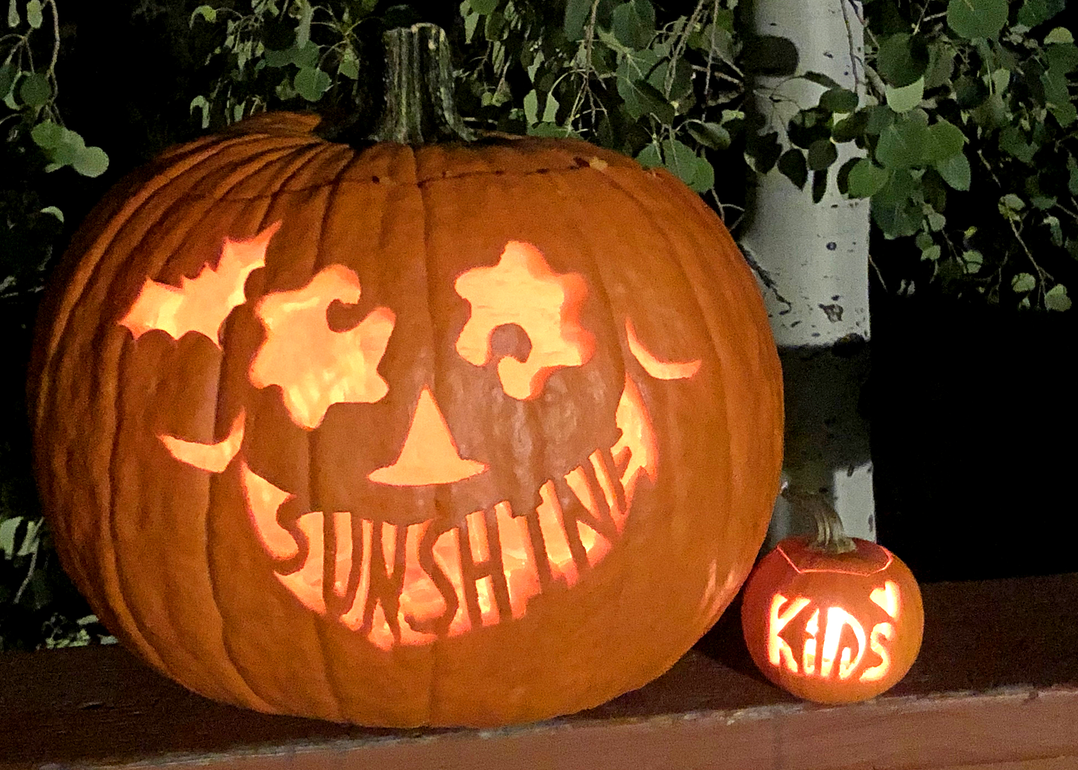 BHHS Elevated Living.jpg