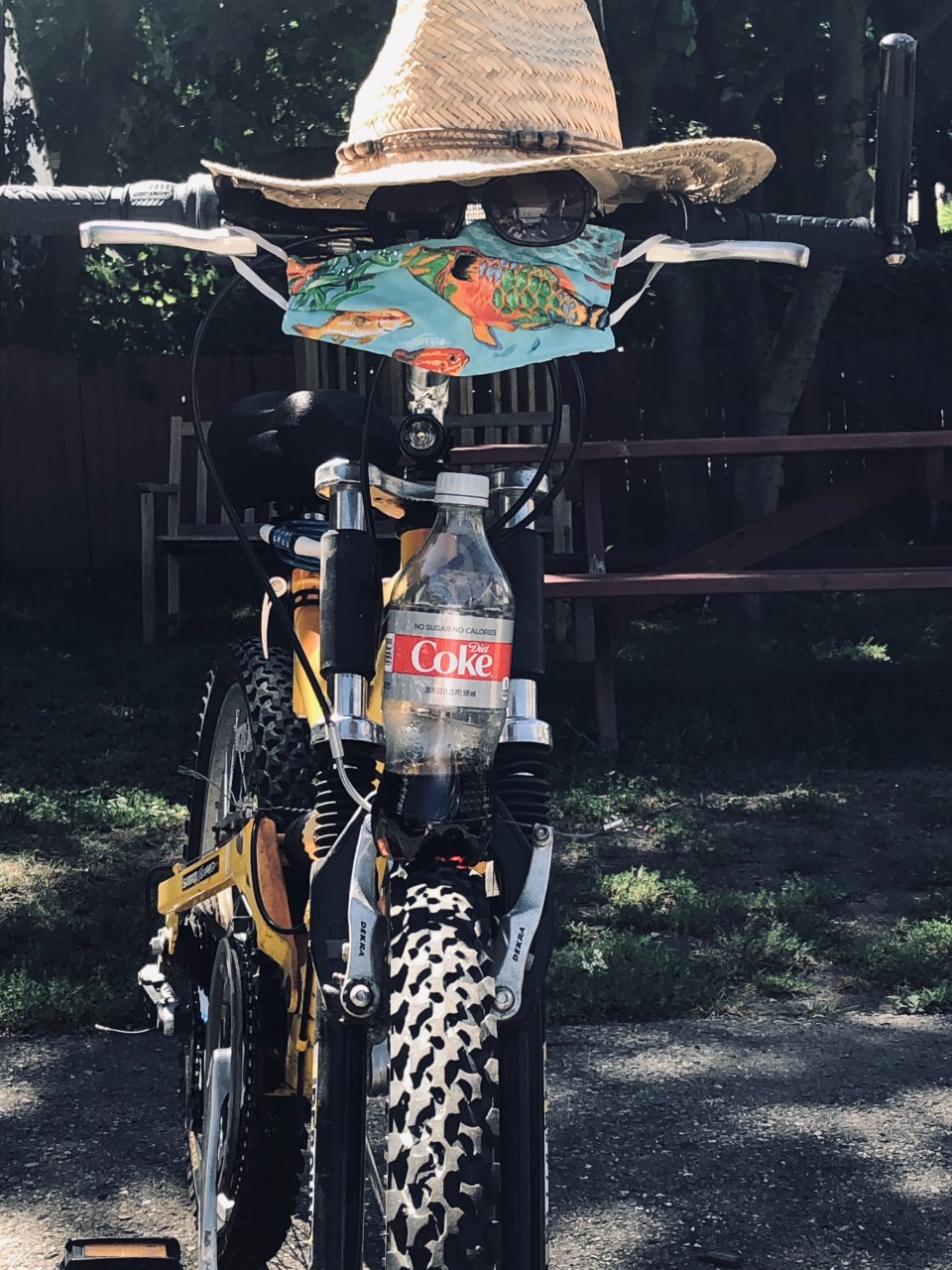 Missy's Bike is chilling at The Refuge today!