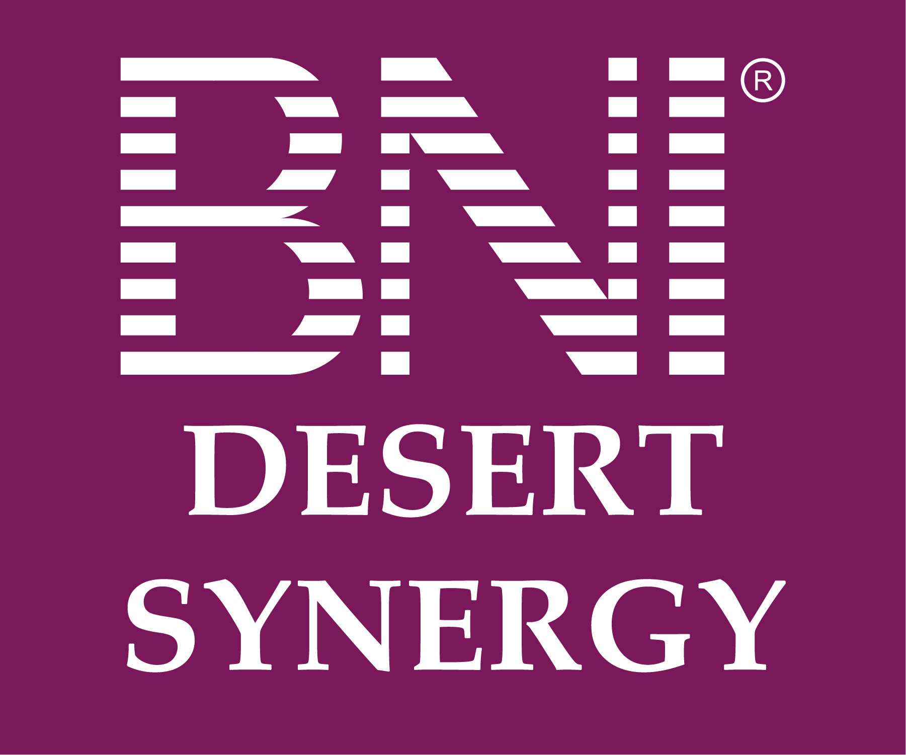 BNI Desert Synergy