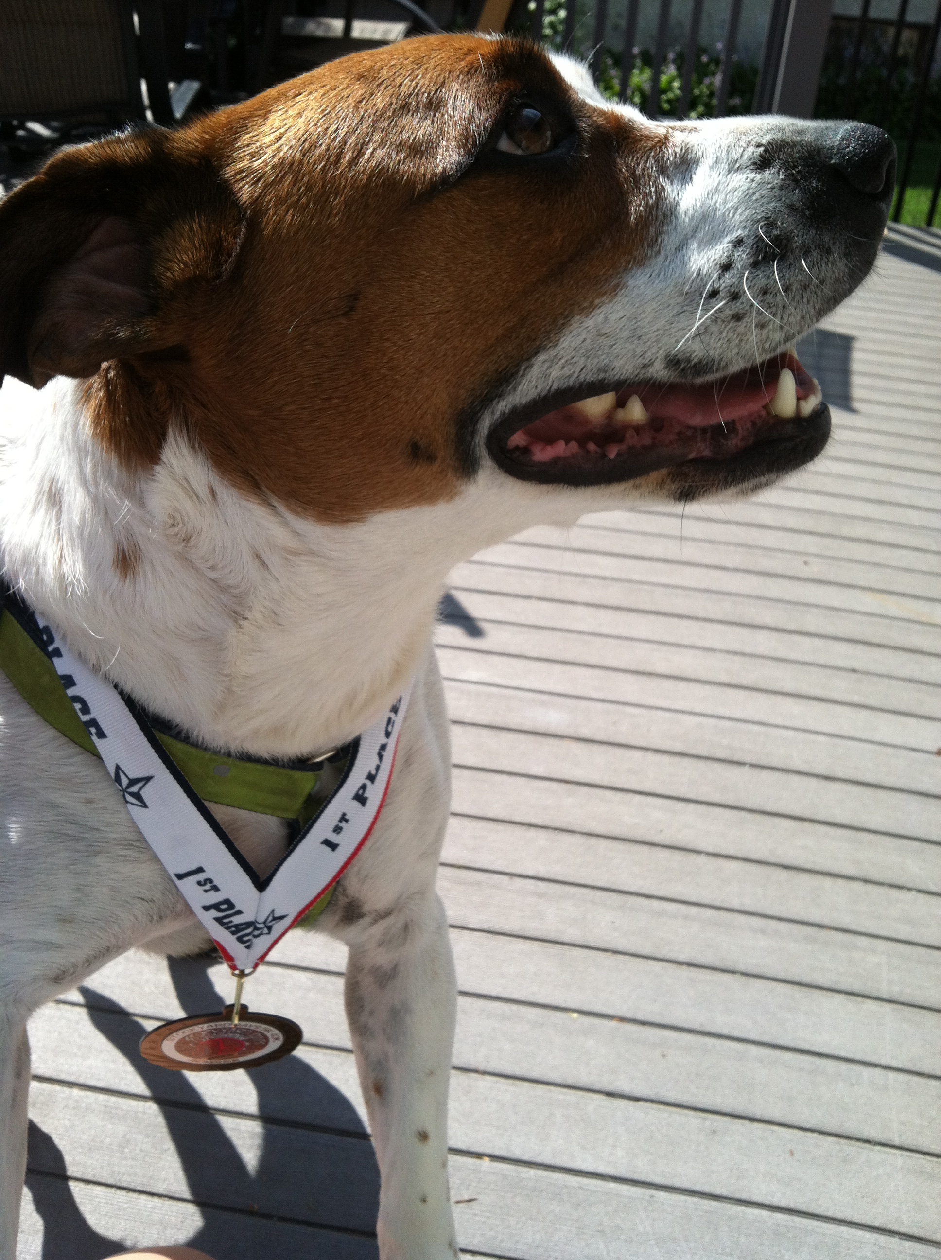 Boof! My #1 original running buddy