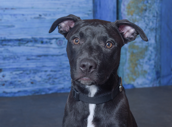 2018 Calendar Picture - Mr. September