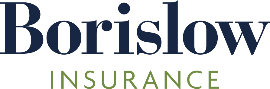 Borislow Insurance