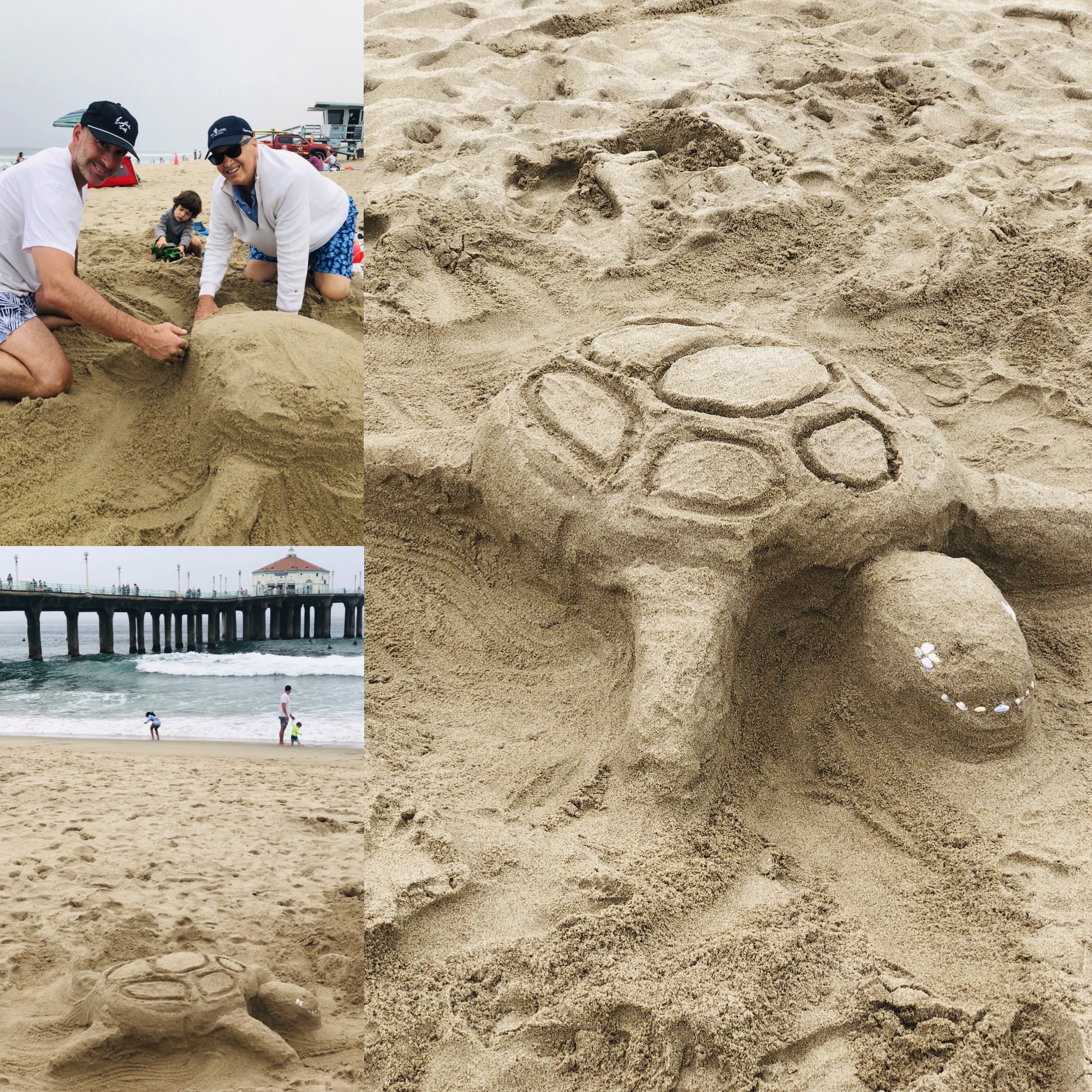 Entry # 10 | Butter the Sea Turtle