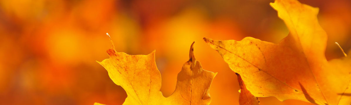 Verde Valley Caregivers Coalition