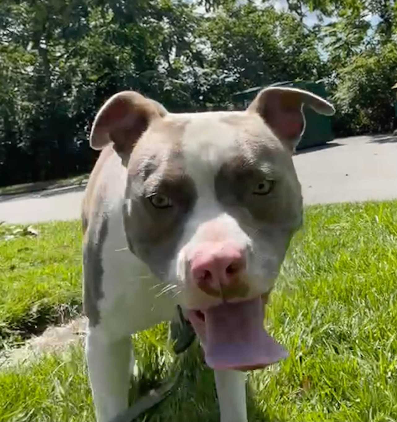 Carlos!