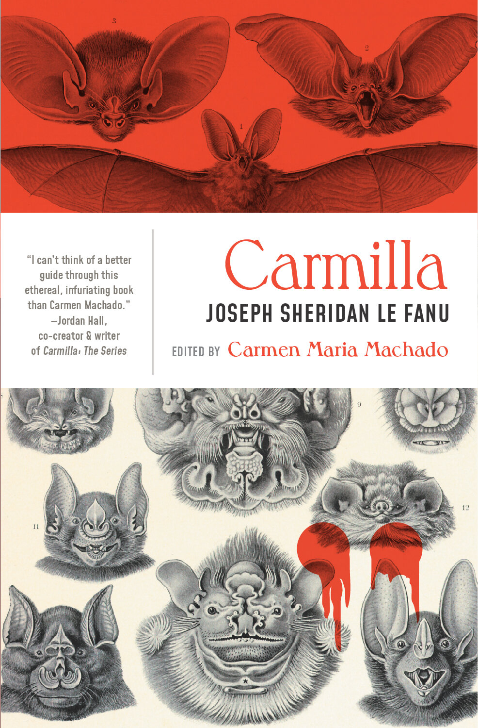 CARMILLA-2e-web-medium.jpeg