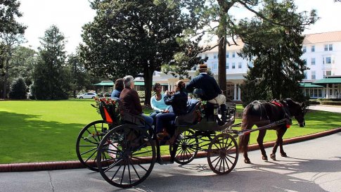 Whimsical Carriage Rides