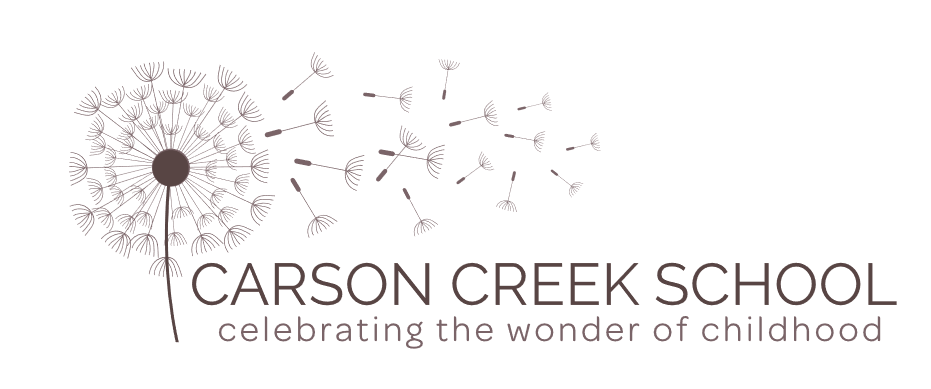 Carson Creek School